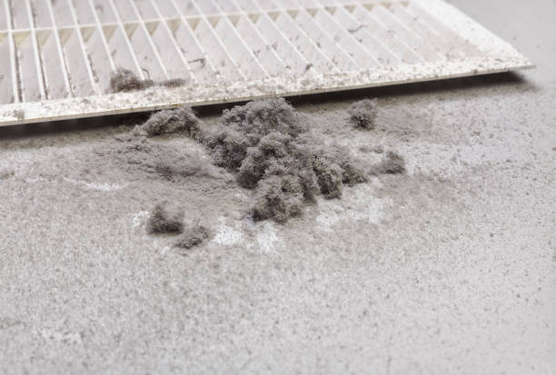 Best Professional Duct Cleaning Services  in Semmes, AL