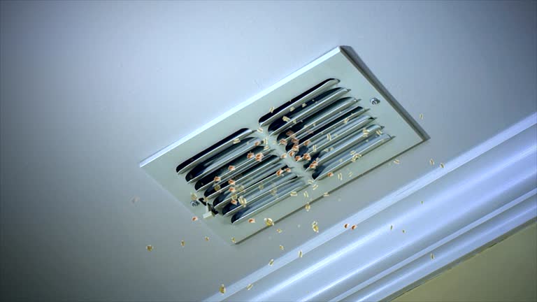 Best Affordable Air Duct Cleaning  in Semmes, AL
